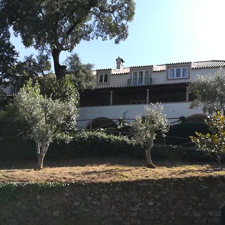 Casa Ribeira De Pera Villa Castanheira de Pera Eksteriør billede